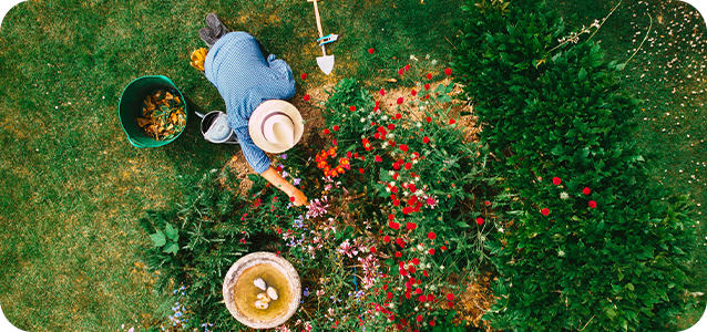 Home And Garden Industry Page
